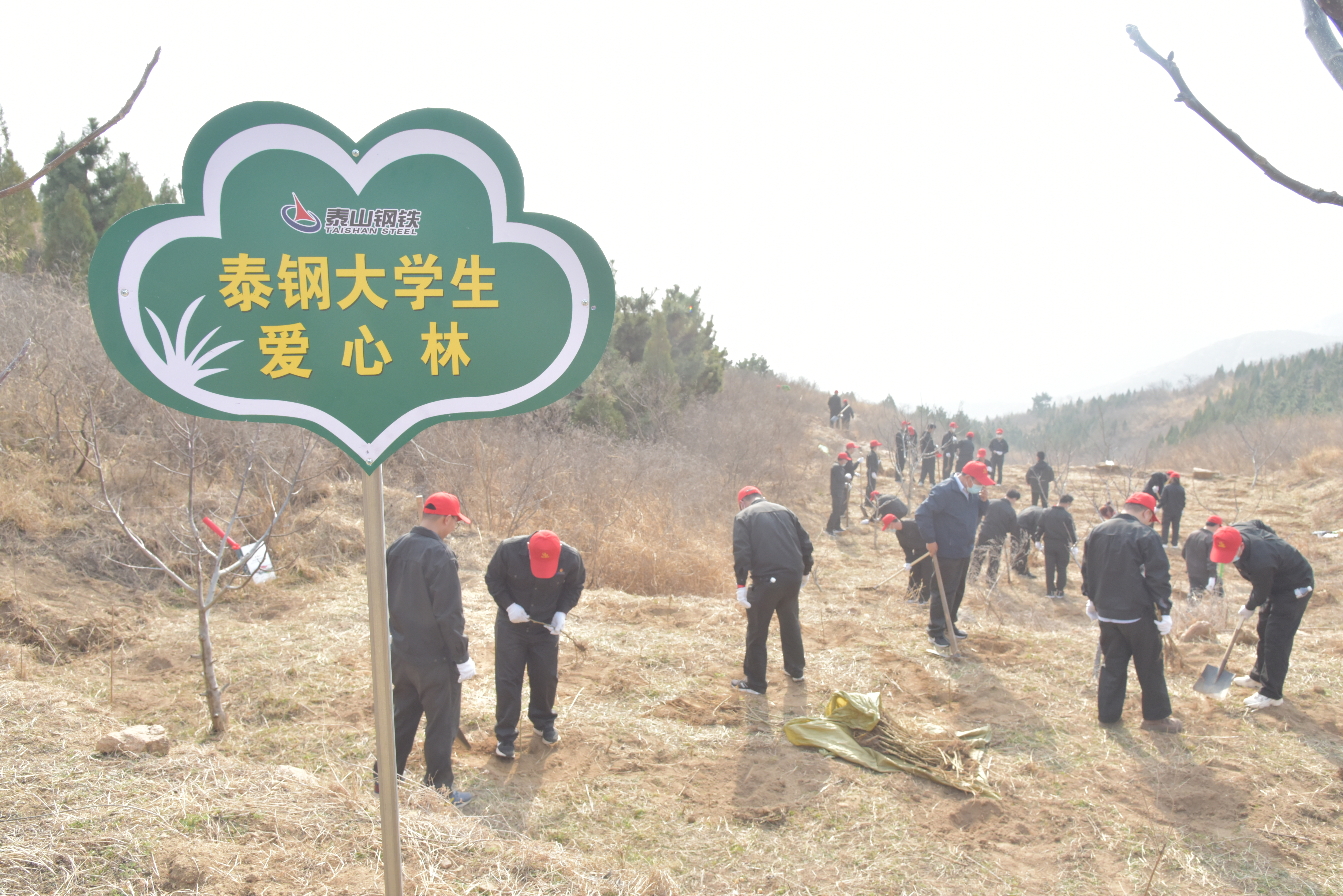 星空中国大学生植爱心林